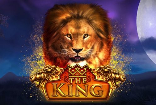 The King video slot game review at HappyLuke Vietnam